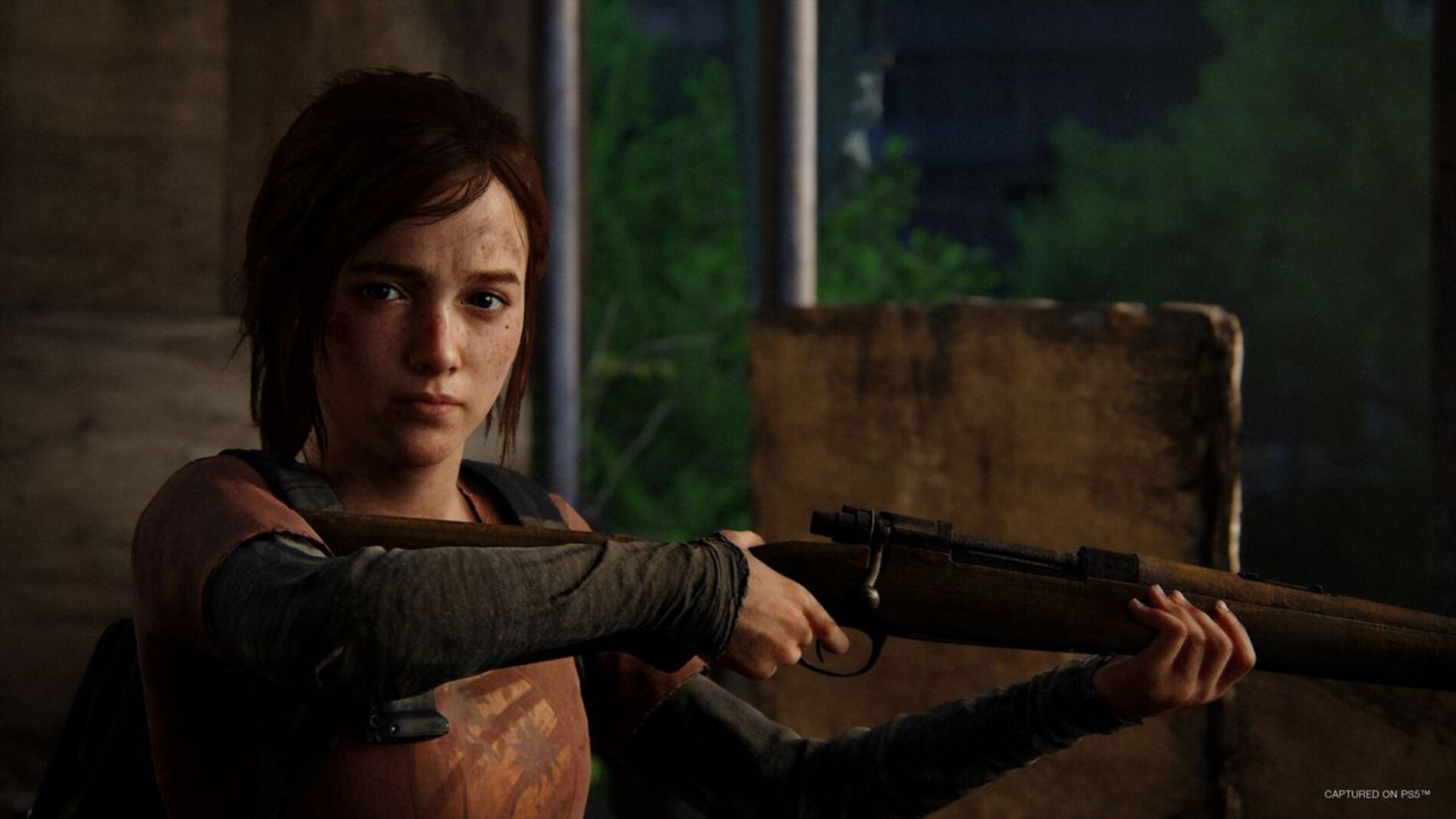 Naughty Dog зупиняє розробку The Last of Us Online